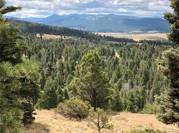 Lot 174 Ferris Place LOT 174, Fort Garland, CO 81133