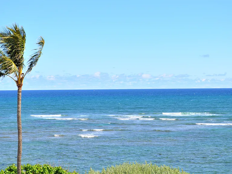 Rooftop patio view makai