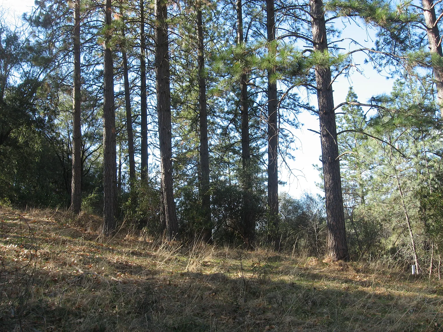 17534 Gen Ct photo 1