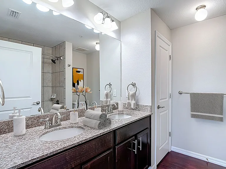 Adagio at Westshore Palms — Photo 8