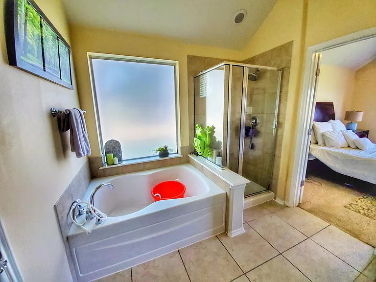 Master bathroom with separate tub and shower