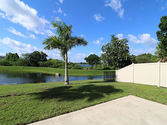 View from the back patio