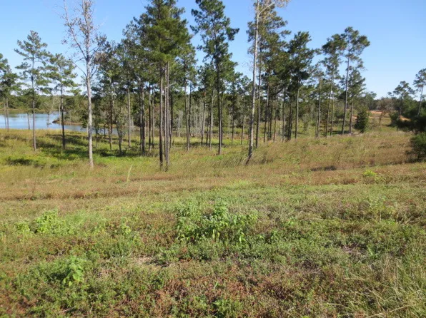 88 Joan Dr, Ellisville, MS 39437
