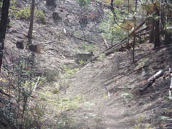 2nd image of 1421 McKeen Rd