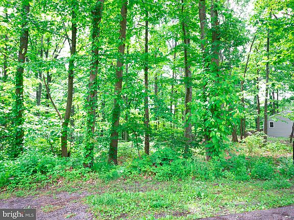 3rd image of LOT 50 Gilmore Trl