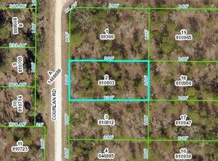 Courlan Rd, WEEKI WACHEE, FL 34614