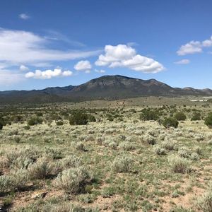 164 Longhorn Loop #5, Nogal, NM, 88341