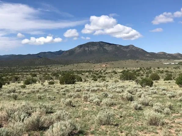 164 Longhorn Loop #5, Nogal, NM 88341