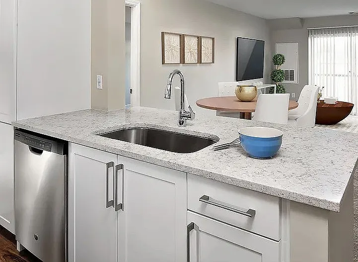2 bed, 2.0 bath, $7,900 — Photo 3