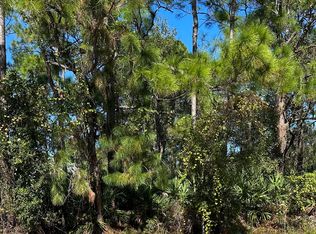 1691 Saint St SE, Palm Bay, FL 32909