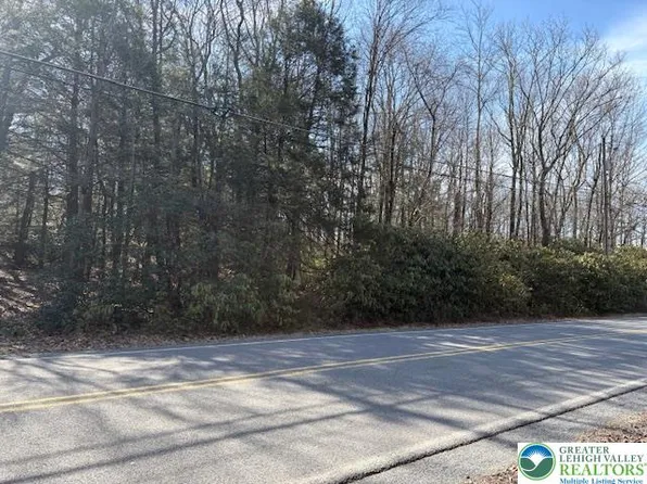 Stony Mountain Rd, Penn Forest Township, PA 18210