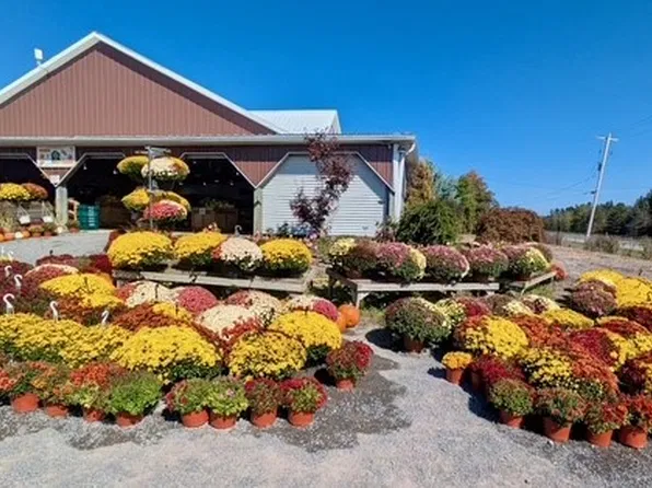 4172 State Route 14a Hwy, Penn Yan, NY 14527