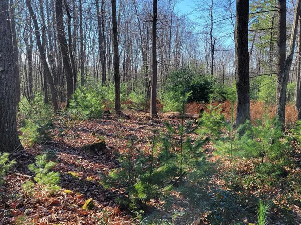 0 Deer Creek Rd, Morrisdale, PA 16858