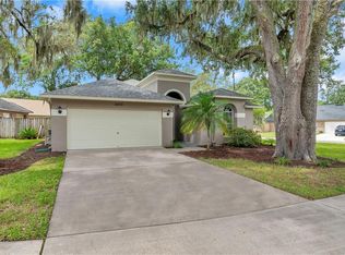 2505 Clareside Dr, Valrico, FL 33596