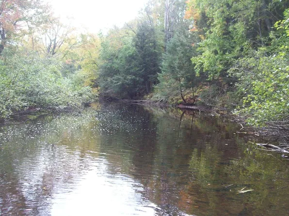 WOOD CREEK AVENUE, Rib Lake, WI 54470