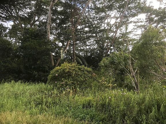 3rd image of 7th Avenue Hinahina Lot 2096