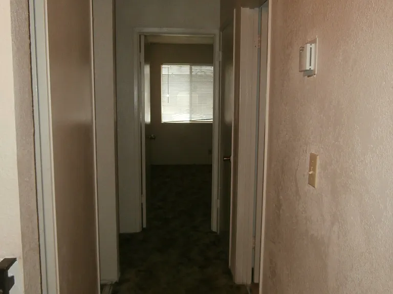 239 Sunnyhills Dr — Photo 11