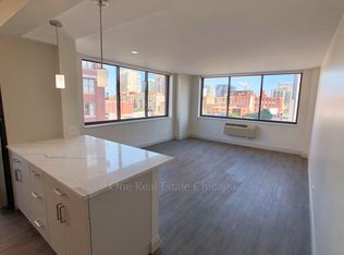 330 W Illinois St #3, Chicago, IL 60654