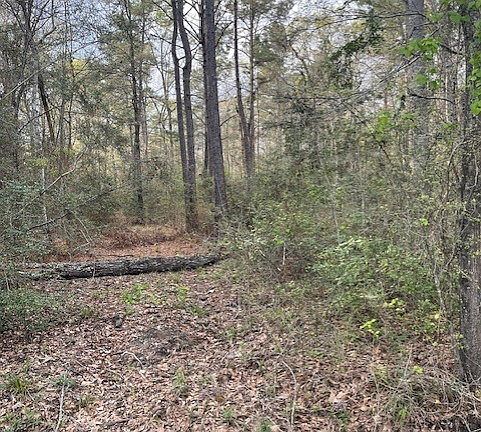 2nd image of R21929 Youngblood Rd