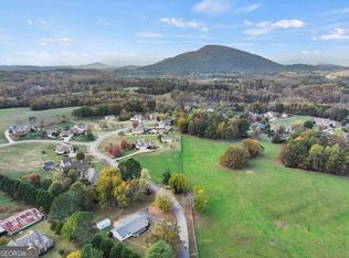 239 Brown Dr, Clermont, GA 30527