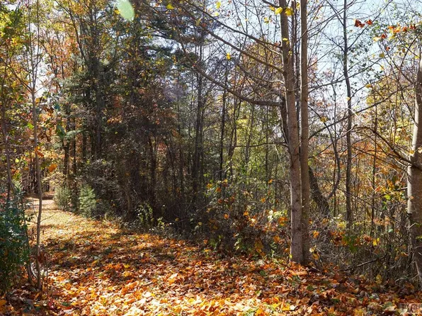 unknown Silly Ridge Road, Scaly Mountain, NC 28775