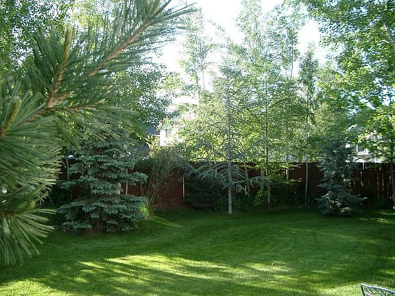 Fenced & enclosed backyard