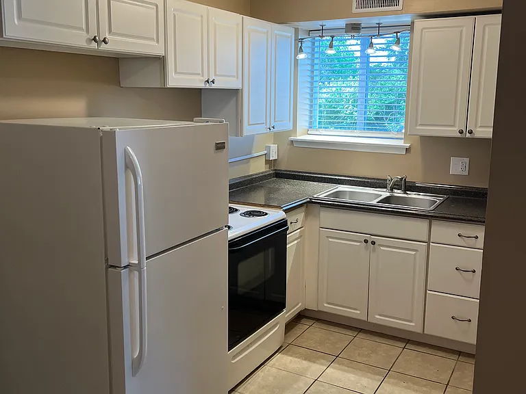 710 Ferdinand Ave SW #5 — Photo 2