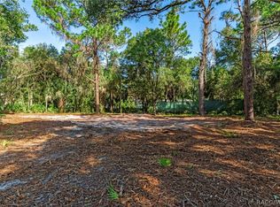 8181 W Tracy Ct, Homosassa, FL 34448