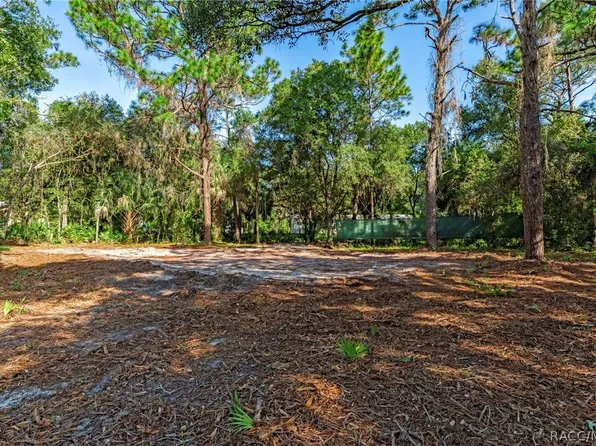 8181 W Tracy Ct, Homosassa, FL 34448