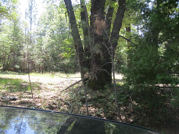 4th image of 5135 June Ave
