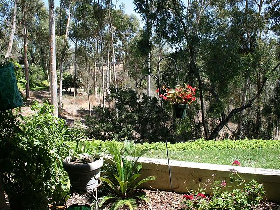 Canyon View from Patio