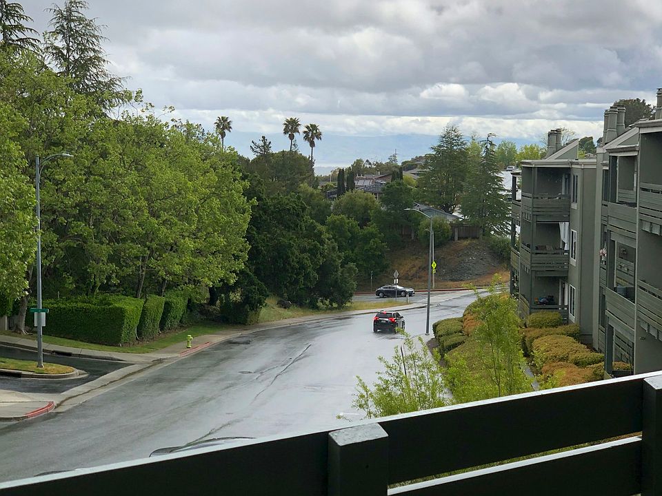 From Your Balcony