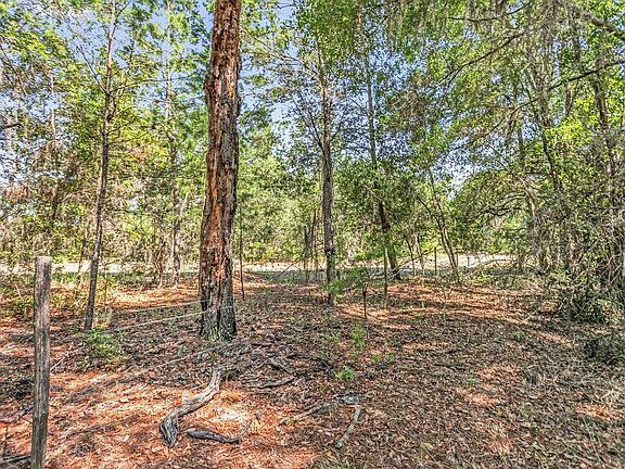 5th image of 1379 State Road 100