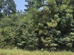 26033 Cambridge Blvd, New Caney, TX 77357