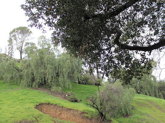 3rd image of Kagel Cyn