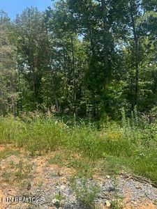 412 Elohi Pl, Tellico Plns, TN, 37774