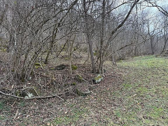5th image of 75 Hamric Ridge Rd