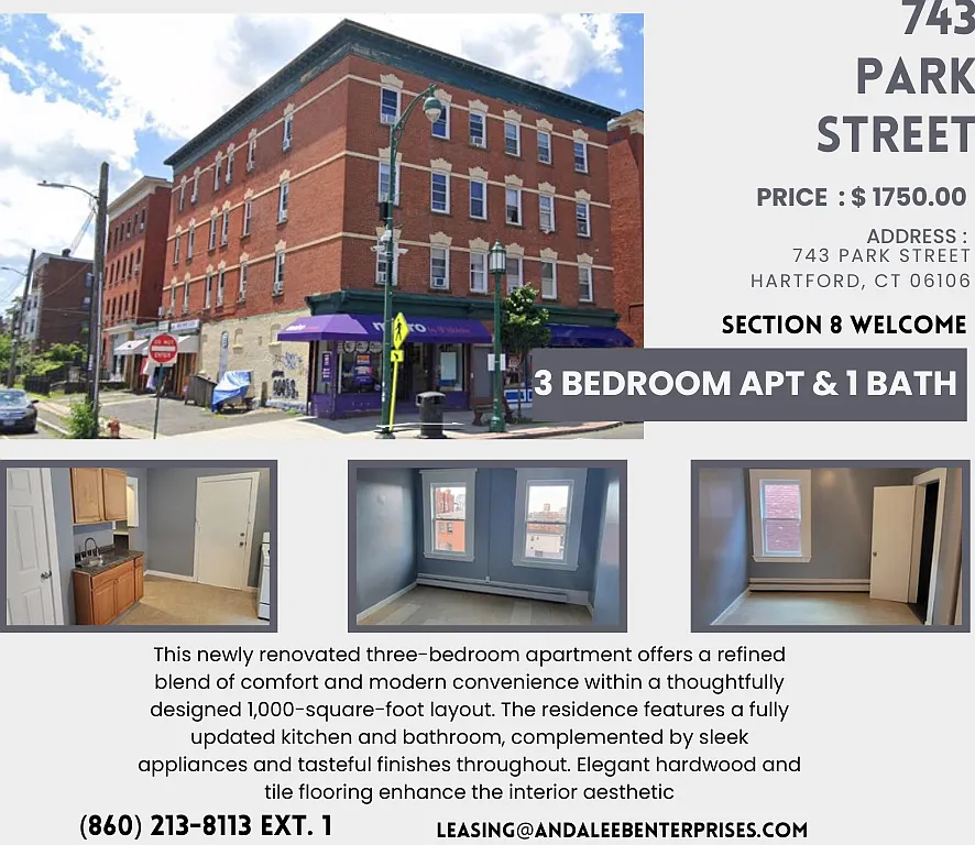 Affleck 741 -749 Park Street - 4W — Photo 1