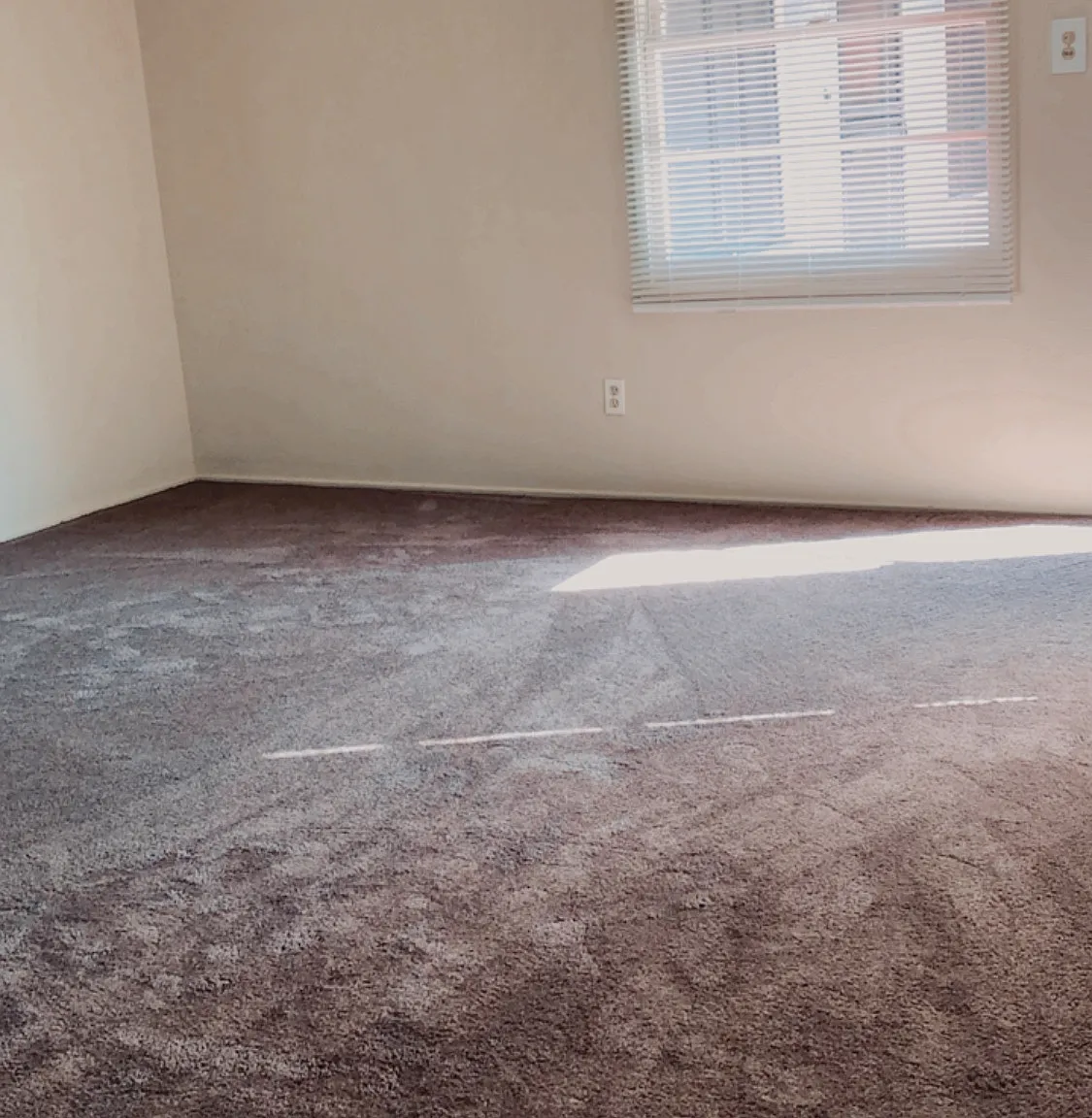 1 bed, 750 sqft, $1,900 — Photo 2