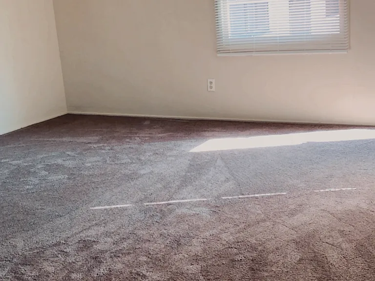 3145 Reynard Way — Photo 2
