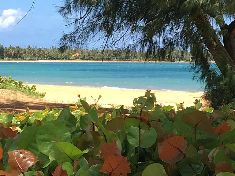 Sandy Beach