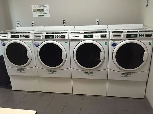 Rented by East Williamsburg Realty Inc | media 12