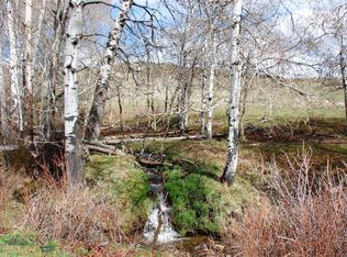 309.697 Acres On Antelope Creek Rd, Pony, MT 59747
