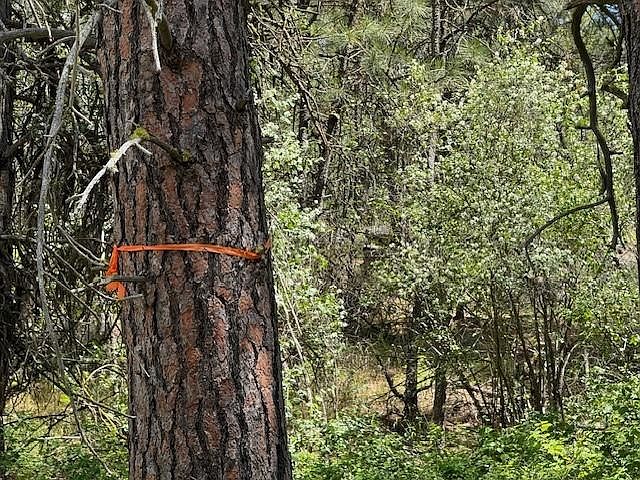 1st image of LOT-587X Four Weaver Way