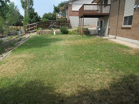 Large Flat Yard