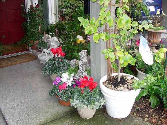 front entry