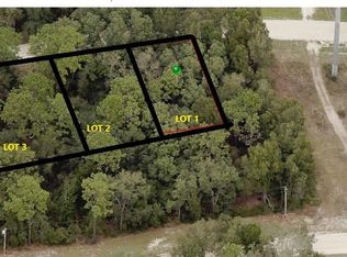 1900 Schaub Ave, Orange City, FL 32763