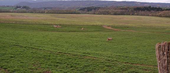 5th image of 205 Kenton Run