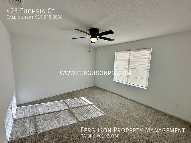 425 Fuchsia Ct — Photo 18
