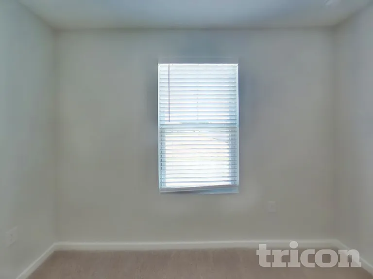 56 Brazil Nut Cir — Photo 12